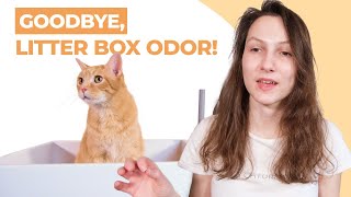 7 Tips to Get Rid of Cat Litter Smell for Good [upl. by Yatnoj875]