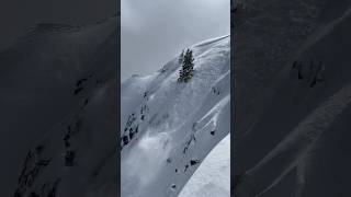 Classic wind loaded slab avalanche in the Central Wasatch [upl. by Leia]