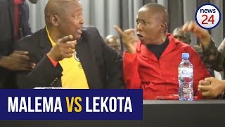 WATCH Malema and Lekota in heated argument at land hearing [upl. by Emalee]