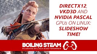 DirectX12 Nvidia Pascal GPUs And VKD3D Proton on Linux SlideShow Time [upl. by Alidus10]