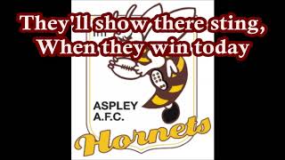 Aspley Hornets theme song Lyrics  NEAFL Version [upl. by Darnoc]