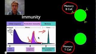 The Immune System [upl. by Ahsirpac]