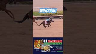 Winooski takes the first race under Edwin González GulfstreamPark [upl. by Ettevey]