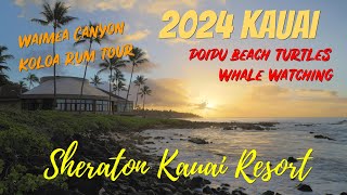 2024 Kauai  Sheraton Kauai Resort at Poipu [upl. by Eissalc10]