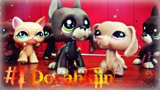 Littlest Pet Shop Dovahkiin 1 Fus Ro Dah [upl. by Lonee]