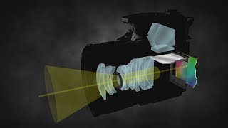 How a DSLR Camera Works [upl. by Madeleine937]