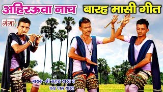 अहिरउवा नाच  अमेठी सुल्तानपुर उत्तरप्रदेश घूँघरू नाच  Ahirauwa Full HD Songs [upl. by Ehudd210]