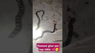 Hamare ghar par sap nikla🪱🥱 [upl. by Gretal]