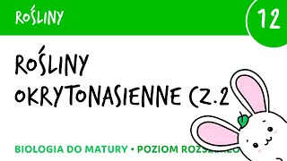 Rośliny 12 🌿Rośliny okrytonasienne część 2  matura liceum biologia rozszerzona [upl. by Anthia445]