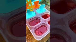 Yummy Ice Making l Watermelon Ice Recipe shorts [upl. by Dilks]