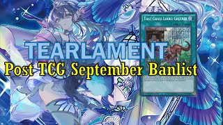 NEW TEALAMENT deck Sep2024  Post TCG Banlist [upl. by Nabroc120]