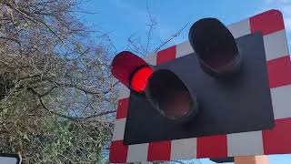 Very Faulty alarm Crewkerne Level Crossing Somerset [upl. by Naol]