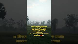 এ জীবনে পেয়েছি যে আঘাত হাজার।61124 সকল মানুষকে জানাই শুভেচ্ছা সহ 🌞সুপ্রভাত🌞❤️😍🙏 [upl. by Adne]