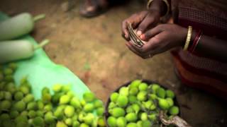 Lives of Others  Sustainable Agriculture in India [upl. by Salot]