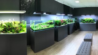 AMAZING AQUASCAPE TOUR at Green Aqua Budapest [upl. by Elita]