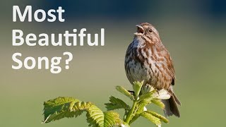 21 Beautiful Bird Songs of North America [upl. by Guthry]