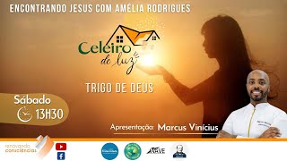 TRIGO DE DEUS  Celeiro de Luz  MARCUS VINÍCIUS  SE [upl. by Quillon262]