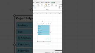 Excelde Dilimleyici Slicer Kullanımı shorts excel exceltricks [upl. by Orfield910]