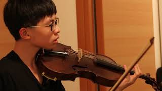 ABRSM Viola Grade 8 Fiddle Faddle by Leroy Anderson [upl. by Oicanata171]