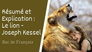 Le Lion de Joseph Kessel Résumé et explication [upl. by Arney469]