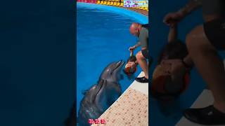 Dolphin 🐬 fish beautiful moment shortsfeed dolphin youtubeshorts [upl. by Gunzburg258]