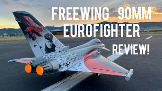 Best EDF IN THE HANGER Freewing eurofighter 90mm full review [upl. by Andria]