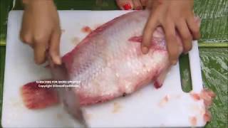 Red Hybrid Tilapia How To Scale Gut Clean Fish By Beautiful [upl. by Grewitz]