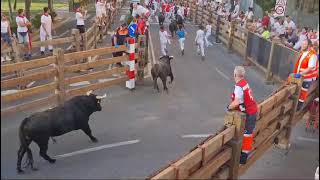 Quinto Encierrro de las Fiestas de Tudela 2024 [upl. by Berna]