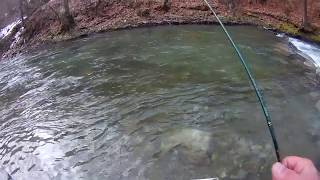 Trout spinning 55 Breza Bosnia and Hercegovina [upl. by Verne]