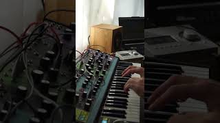 Overpressure Preset for Moog Matriarch [upl. by Jermain]