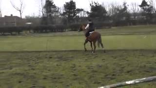 Horse abuse young female rider UK [upl. by Ethyl604]