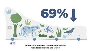 Procter amp Gamble  PampG Support for Natural Ecosystems [upl. by Srednas]