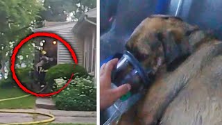 A RealTime Look at How a Dog Was Saved From a House Fire [upl. by Ttik]