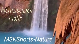 Havasupai Falls  travelshorts [upl. by Odlonra]