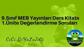 MEB Yayınları 9Sınıf Ders Kitabı 1Ünite Değerlendirme Soruları Çözümü [upl. by Niarda93]