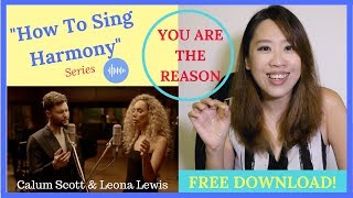 How To Sing Harmony INTRO Harmonise quotYou Are The Reasonquot Calum Scott amp Leona LewisCover [upl. by Celio]