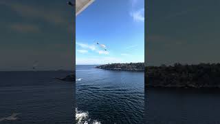 Viking cruise ship leaving Norway cruising [upl. by Airetnuhs]