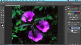 Photoshop CC  Camera Shake Reduction [upl. by Nitz]