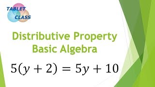 The Distributive Property Learn Basic Algebra [upl. by Teiv]