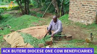 REV GEOFFREY OPEMBE ONE COW PROJECT [upl. by Obellia]