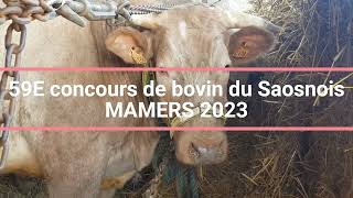 Concours de bovins 3 jours de MAMERS 2023 [upl. by Ernaline]