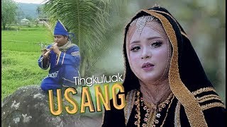 AYU DEWI  Tingkuluak Usang  Official MV  Lagu Dendang Minang Terbaru [upl. by Chalmers989]