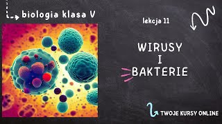 Biologia klasa 5 Lekcja 11  Wirusy i bakterie [upl. by Aram]