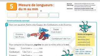 Mesure de longueurs  du m au mm pour comprendre les maths ce2 [upl. by O'Gowan701]