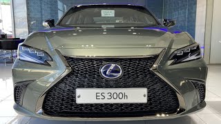 2022 렉서스 ES 300h F 스포츠 리뷰 [upl. by Eikcir]