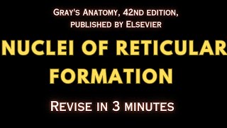 Nuclei of Reticular Formation  Location amp Role  Brainstem Neuroanatomy  Revise Medicine in 5mins [upl. by Aerdno778]