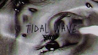 Sueco  Tidal Wave official audio [upl. by Ardnuek]