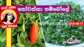 ✔ රුධීරයේ සීනි වහාම අඩු කරන කෝවක්කා Kowakka sambol to control blood sugar levels by Apé Amma [upl. by Naujid]