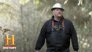 Ax Men Rygaard Logging Forges a New Path Season 10  History [upl. by Llerryt]