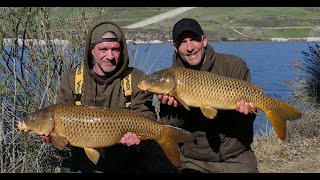 California CARP FISHING Adventure [upl. by Elttil]